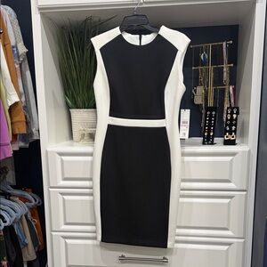 Calvin Klein Black and White Midi Dress